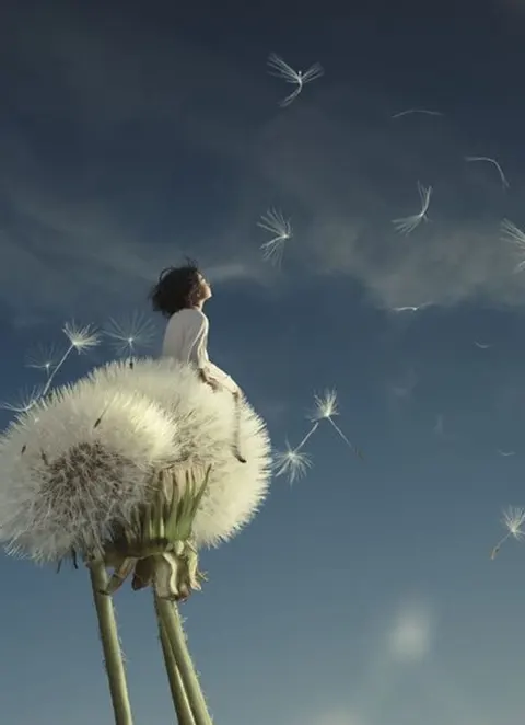 Gyermek alak pitypangvirág mellett, szélben szálló magokkal