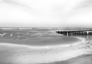 Természetes tájkép nyugodt tónusokkal és horizonttal